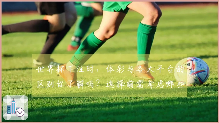 世界杯下注时，体彩与各大平台的区别你了解吗？选择前需考虑哪些细节؟